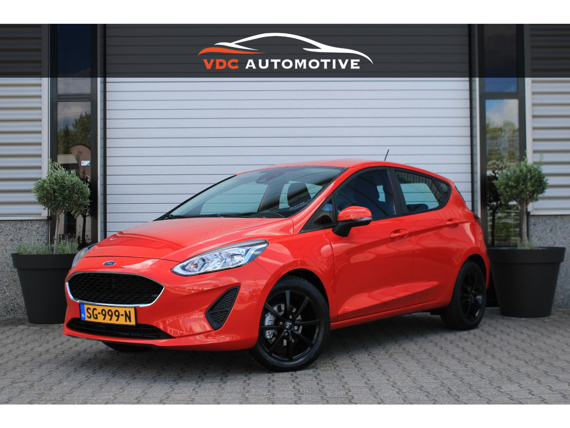 56108619